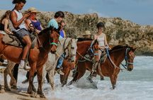 Aruba's Northern Coast Horseback Adventure
