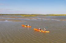 2 Hour Kayak Rental - Single or Tandem Kayak