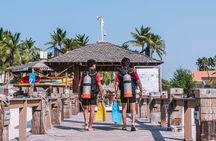 Half-Day Aruba Intro Diving Course for Beginners