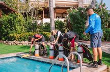 Half-Day Aruba Intro Diving Course for Beginners
