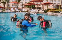 Half-Day Aruba Intro Diving Course for Beginners