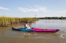 Dolphin Kayak Tour on Folly Beach 