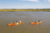 Dolphin Kayak Tour on Folly Beach 