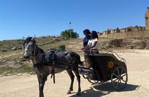 Uthina Discovery Half-Day Tour from Tunis