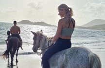Private Sunrise Horseback Beach Ride with Sandy Hoofs St. Lucia