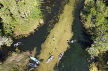 Chassahowitzka River Clear Kayak Springs & Manatee Tours 