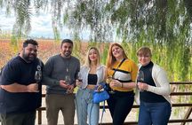 Vineyards Tour in Mendoza: Wine & Olive Oil Tasting Experience