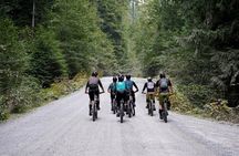 4 Hours Guided Mountain Bike Tour
