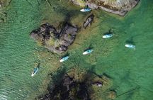 1.5 hour guided SUP tour on the pristine waters of Cowichan Lake