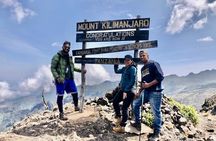 Private Mount Kilimanjaro Day Hike: Shira Plateau or Marangu