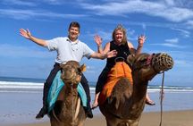 Luxury Private Tour of Tangier from Gibraltar All Inclusive