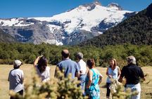 Discover Cerro Tronador with Ventisquero Negro Glacier