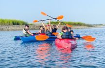 2 1/4 Hour Private Kayak Hilton Head Dolphin Nature Experience