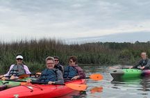 2 1/4 Hour Private Kayak Hilton Head Dolphin Nature Experience