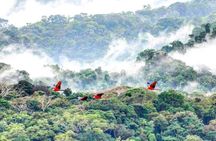 Carara National Park Admission Ticket