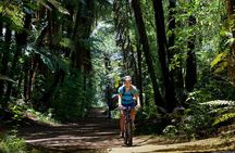 Shared Guided Multi Day Adventure Tour in Auckland