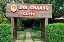 Chiang Mai Chiang Rai Temples Tour with Premium Transfer