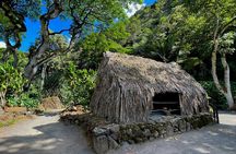 Private Tour-North Shore Oahu ft. Waimea Falls-Customizable