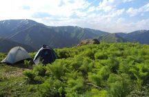 5-Day Trekking Tour through Chimgan, Uzbekistan