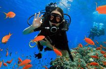 PADI Scuba Diver (PSD)