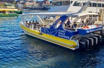 Whale Watching Sydney 