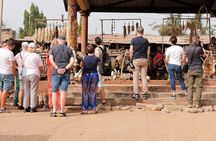 Shore excursion in Lomé : Vodoo Ceremony and Cultural Tour