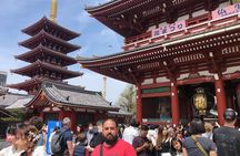 Tokyo in 1 Day from Disney Area with Licensed Local Guide