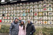 Tokyo Top 5 Must-See Private 6hr Walking Tour with Licensed Guide