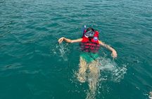 Ocean Discovery: Cham Island Snorkeling from Hoi An/Da Nang