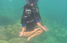 Ocean Discovery: Cham Island Snorkeling from Hoi An/Da Nang