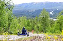 Racing Mountain Cart in Dagali near Geilo, Norway
