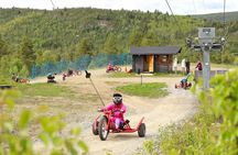Racing Mountain Cart in Dagali near Geilo, Norway