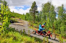 Racing Mountain Cart in Dagali near Geilo, Norway