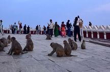 Kathmandu Sightseeing Day Tour by Guide and Private Car 