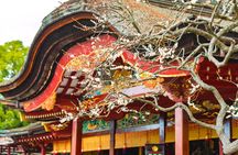 Guided Train and Boat Tour of Dazaifu & Yanagawa from Fukuoka