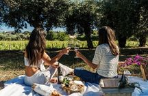 Ischia 3 Hours Wine Experience: Tastings, Vineyards & Pick-up