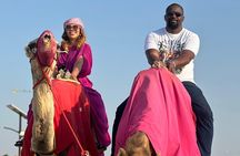 Doha Delights City Tour with Desert Safari and Inland Sea Visit