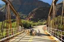2-Day Calchaquí Valley Tour to Cachi and Cafayate