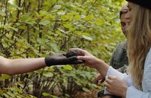 Truffle Hunting and Culinary Adventure