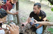Truffle Hunting and Culinary Adventure