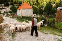 From Shkoder: Theth and Blue Eye day tour
