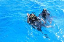 PADI Scuba Diver (PSD)