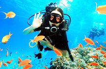 PADI Open Water Diver Course