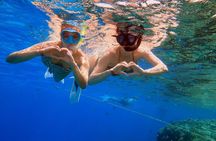 VIP -White Island & Ras Mohamed Snorkel Excursion