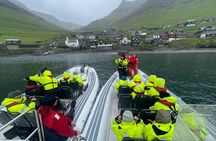 Guided Puffin Safari Boat Tour