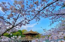 Kyoto and Nara Day Tour from Osaka