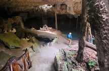 Private experience 5 cenotes at Riviera Maya