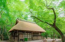 Kyoto and Nara Day Tour from Osaka