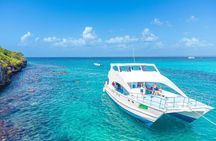 Full-Day Excursion to Discover Catalina Island with Lunch Option 