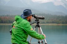 Discover Jasper and its Wildlife